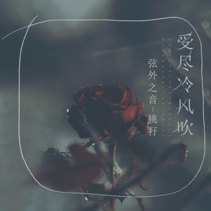 Listen to 受尽冷风吹 song with lyrics from 弦外之音