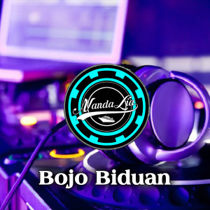 Dengarkan lagu Bojo Biduan nyanyian Nanda Lia dengan lirik