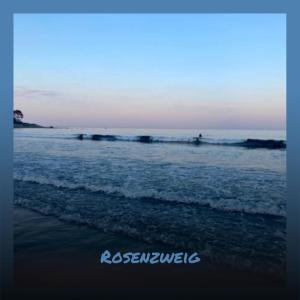 Album Rosenzweig from Various