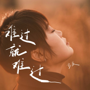 Album 难过就难过（DJ西米版） from 方辰