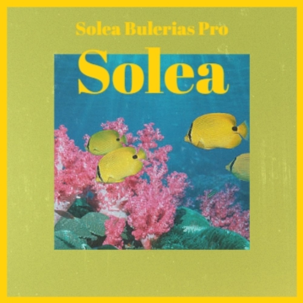 Solea; Bulerias Pro Solea