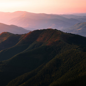 Album Alpha Waves for Meditation | Inner Regeneration from Amazing Spa Music