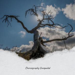 Listen to Whether Somaesthesia song with lyrics from Suane Ledell
