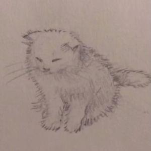 收聽newport motel的wish (Explicit)歌詞歌曲