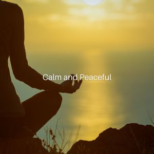 Relaxation Ensemble的專輯Calm and Peaceful