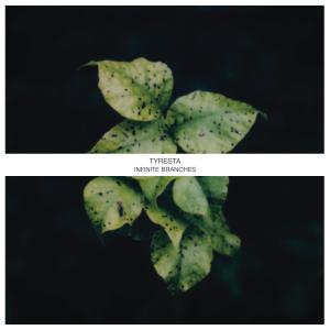 ดาวน์โหลดและฟังเพลง Evergreen (Rework II) พร้อมเนื้อเพลงจาก Tyresta