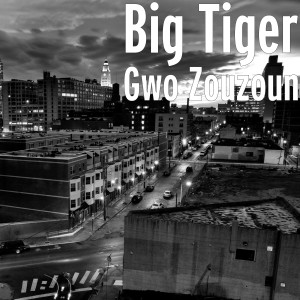 Listen to Gwo Zouzoun (Explicit) song with lyrics from Big Tiger