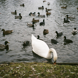 收聽АЙНОУ的Болевой порог歌詞歌曲