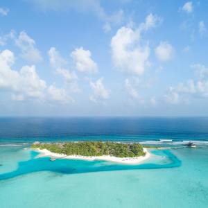 Listen to Pure Relaxation Music for Sleeping song with lyrics from Deep Sleep