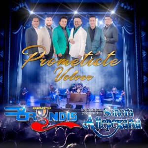 ดาวน์โหลดและฟังเพลง Prometiste Volver (feat. Sonora Altepexana Del Maestro Roberto Avelino) (Desde el Teatro Metropólitan) พร้อมเนื้อเพลงจาก Grupo Bryndis