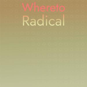 Listen to Whereto Radical song with lyrics from Roba Banan