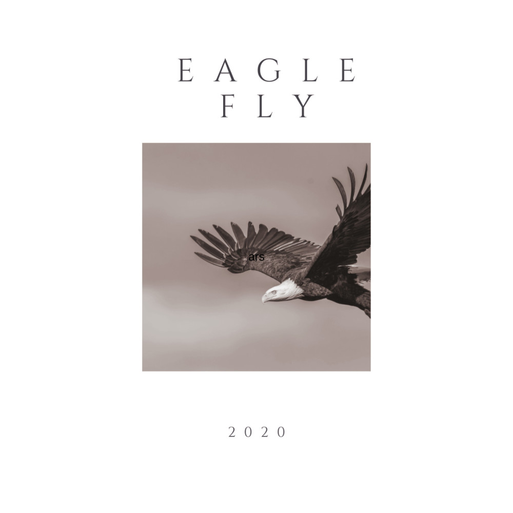 Eagle Fly