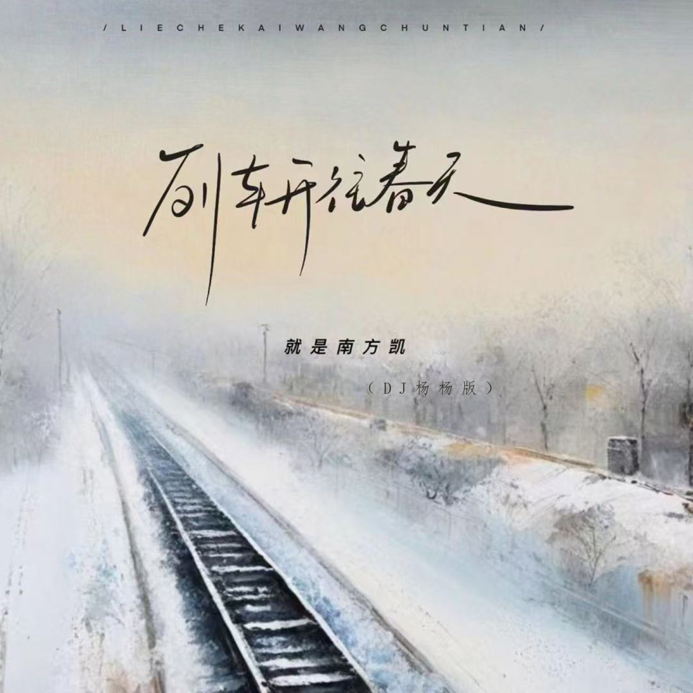 列车开往春天 (DJ 杨杨版)