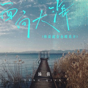 Album 面向大海(你说就会春暖花开) oleh 汤倩