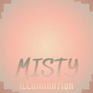 อัลบัม Misty Illumination ศิลปิน Various