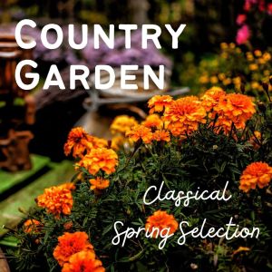 Listen to Sonata for Piano No. 3 in B minor song with lyrics from Albrights Ansamble