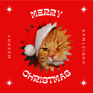 Listen to Ogni giorno è Natale song with lyrics from Manuel Ferrari