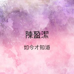 Listen to 如今才知道 song with lyrics from Chen Ying-git (陈盈洁)