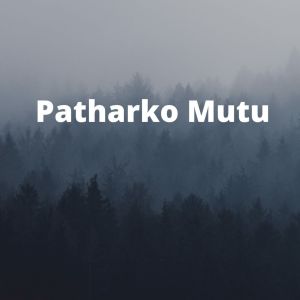 Album Pattharko Mutu from Kiran Pradhan
