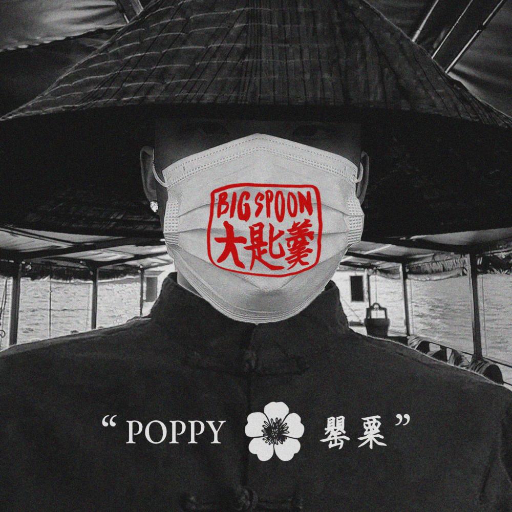 Poppy  罂粟