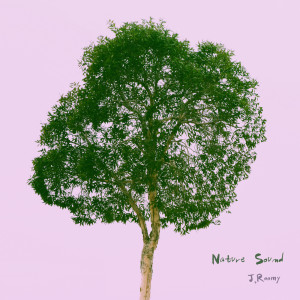 ดาวน์โหลดและฟังเพลง Rain, Wind พร้อมเนื้อเพลงจาก J.Roomy