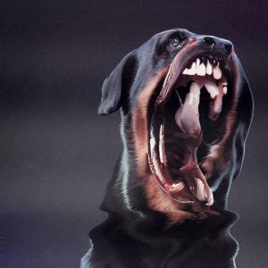 收聽Luka Bayonne的BORDER (feat. Ciel) (Explicit)歌詞歌曲