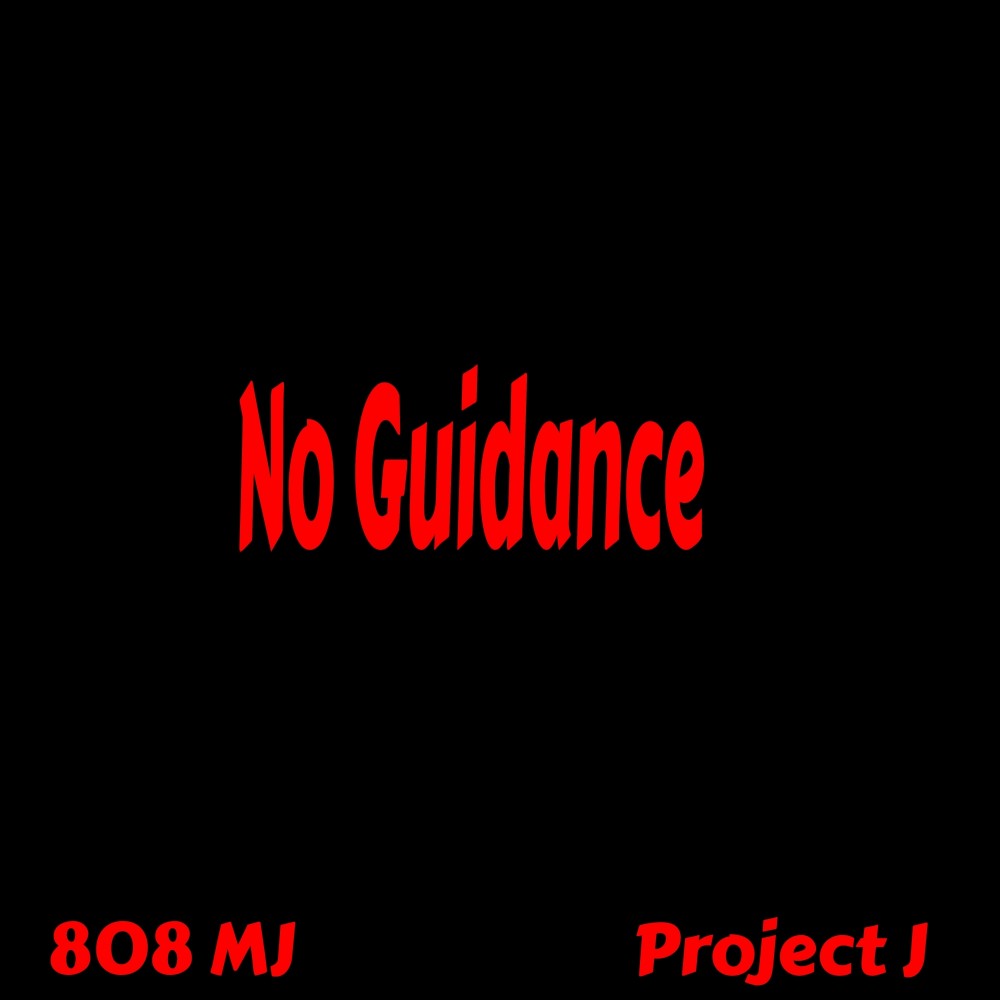 No Guidance