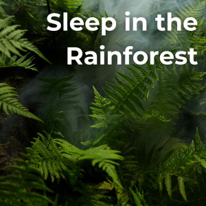 อัลบัม Sleep in the Rainforest ศิลปิน Worldwide Nature Studios