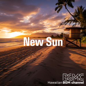 Album New Sun from Hawaiian BGM channel