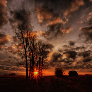 Listen to Lullaby For Enough Sleep song with lyrics from Lullaby of Good Dreams