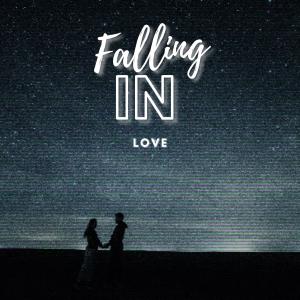 อัลบัม Falling in Love ศิลปิน 