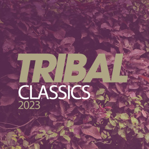Listen to Timbailando (Tribal Mix) song with lyrics from Manitoo