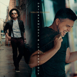 ดาวน์โหลดและฟังเพลง Vida de Colores (Salsa Remix) [feat. Luis Enrique] พร้อมเนื้อเพลงจาก Obie Bermudez