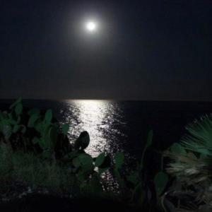 Album L'isola Nelle Tenebre from Destino