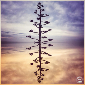 Listen to Feelin' like a Bird song with lyrics from Tatorita Sax
