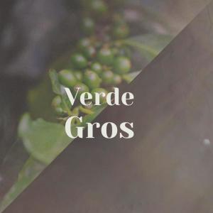 Album Verde Gros from Various