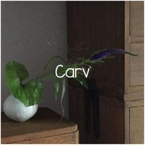 Michiru Aoyama的专辑Carv
