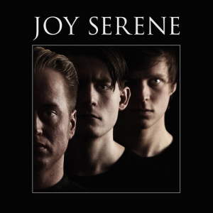 ดาวน์โหลดและฟังเพลง Joy พร้อมเนื้อเพลงจาก Joy Serene