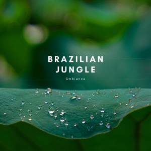 Natural Sounds Selections的專輯Brazilian Jungle Ambience
