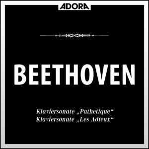 ดาวน์โหลดและฟังเพลง No. 2, Abwesenheit - Andante espressivo พร้อมเนื้อเพลงจาก Paul Badura Skoda