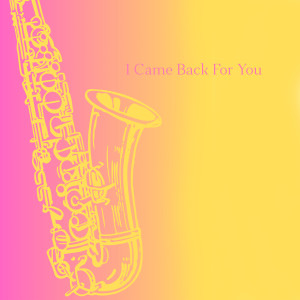 收聽Orquesta Intersonido的I Came Back For You歌詞歌曲