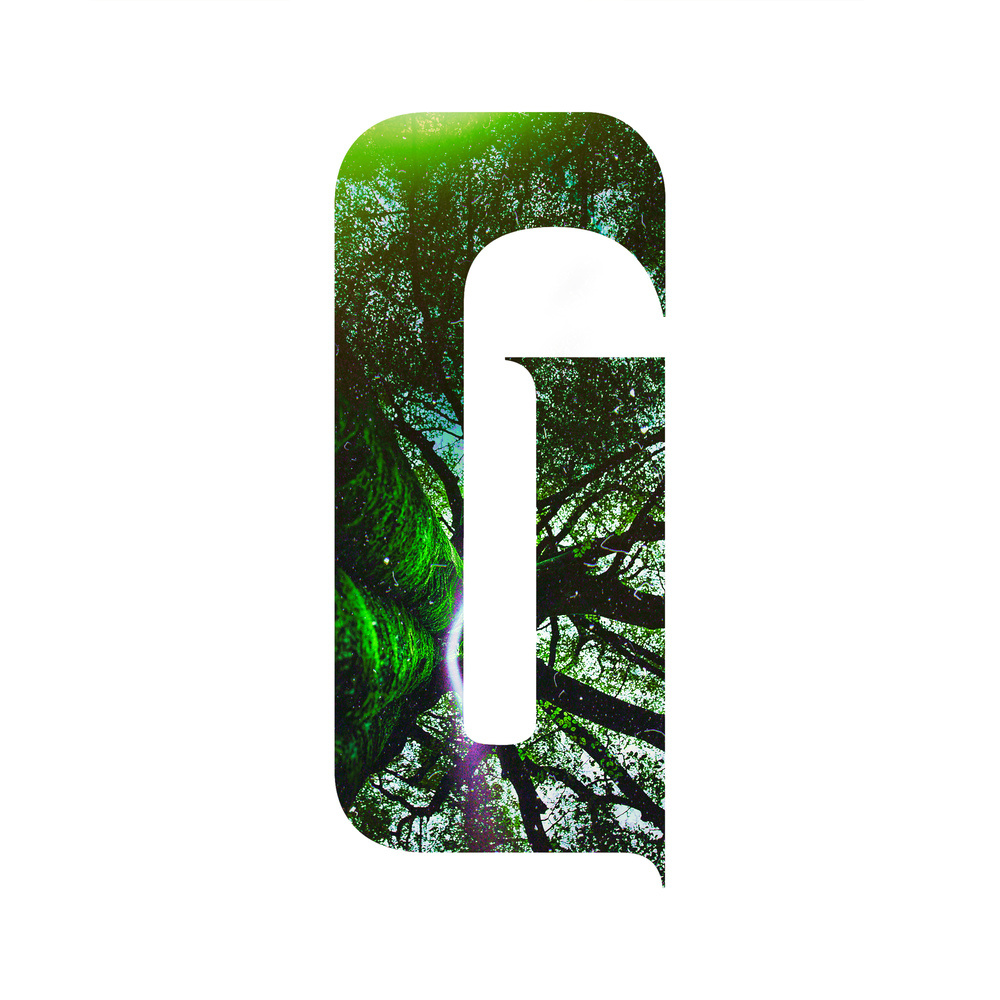 Forest (Radio-Edit)