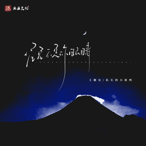 Listen to 星星不是你眼睛 song with lyrics from 王守亿