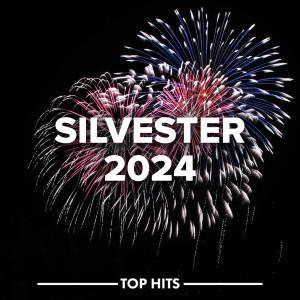 อัลบัม Silvester 2024 (Explicit) ศิลปิน Various