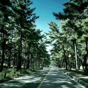 Listen to PostCode (군대간남자 유학간여자) (Vocal. 배신행, UJ) song with lyrics from PoCo