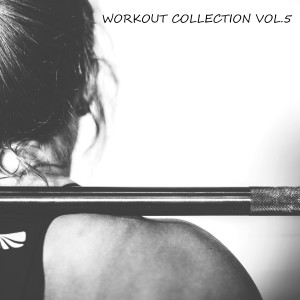 Various的专辑Workout Collection (Vol.5) (Explicit)