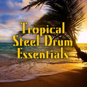 收聽Island Steel Drum Band的Island In The Sun歌詞歌曲