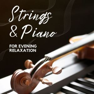 Album Strings & Piano For Evening Relaxation from Various