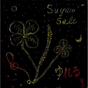 收聽Sugar Salt的Yureru歌詞歌曲
