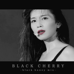 ดาวน์โหลดและฟังเพลง BLACK CHERRY -black honey mix- (混音) พร้อมเนื้อเพลงจาก Misako Uno